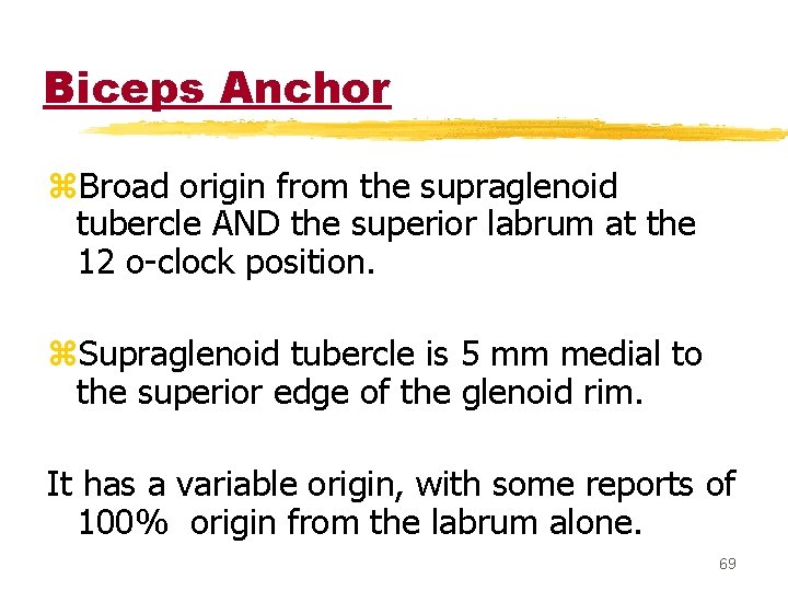 Biceps Anchor z. Broad origin from the supraglenoid tubercle AND the superior labrum at