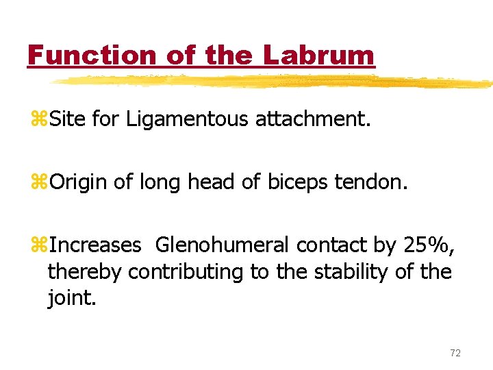 Function of the Labrum z. Site for Ligamentous attachment. z. Origin of long head