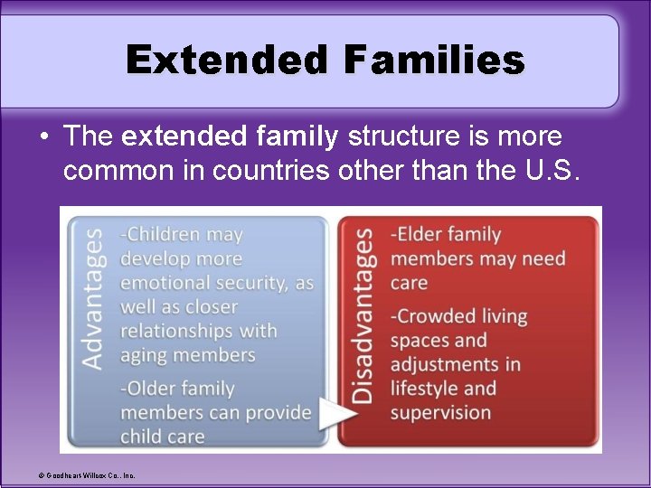 Extended Families • The extended family structure is more common in countries other than