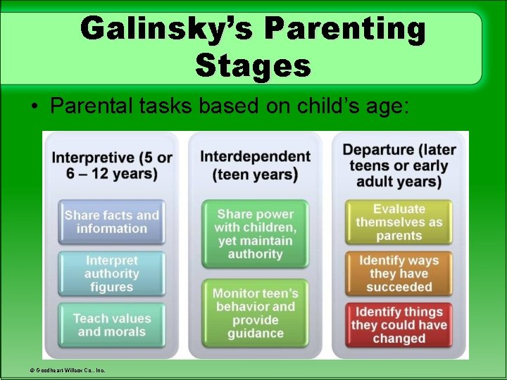 Galinsky’s Parenting Stages • Parental tasks based on child’s age: © Goodheart-Willcox Co. ,