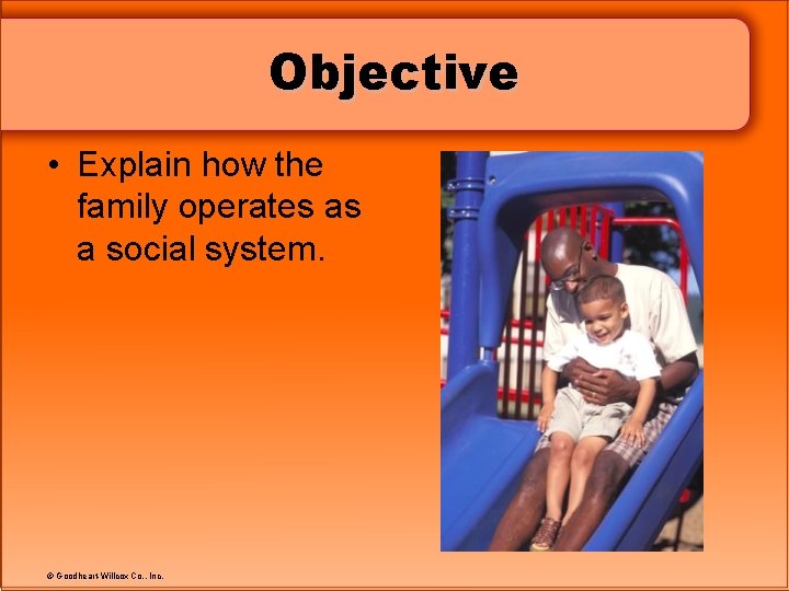 Objective • Explain how the family operates as a social system. © Goodheart-Willcox Co.