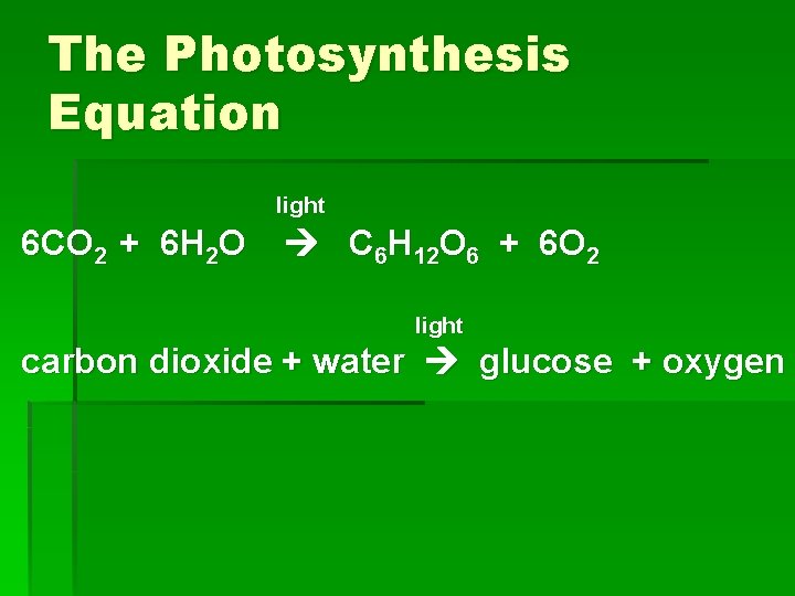 The Photosynthesis Equation light 6 CO 2 + 6 H 2 O C 6