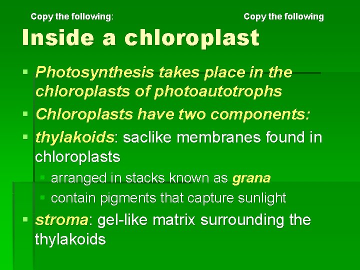 Copy the following: following Copy the following Inside a chloroplast § Photosynthesis takes place