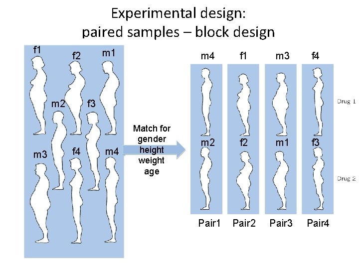 Experimental design: paired samples – block design f 1 m 2 m 3 m
