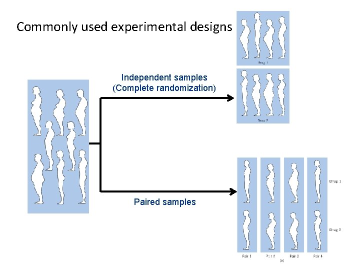 Commonly used experimental designs Independent samples (Complete randomization) Paired samples 