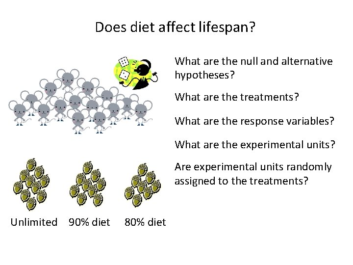 Does diet affect lifespan? What are the null and alternative hypotheses? What are the