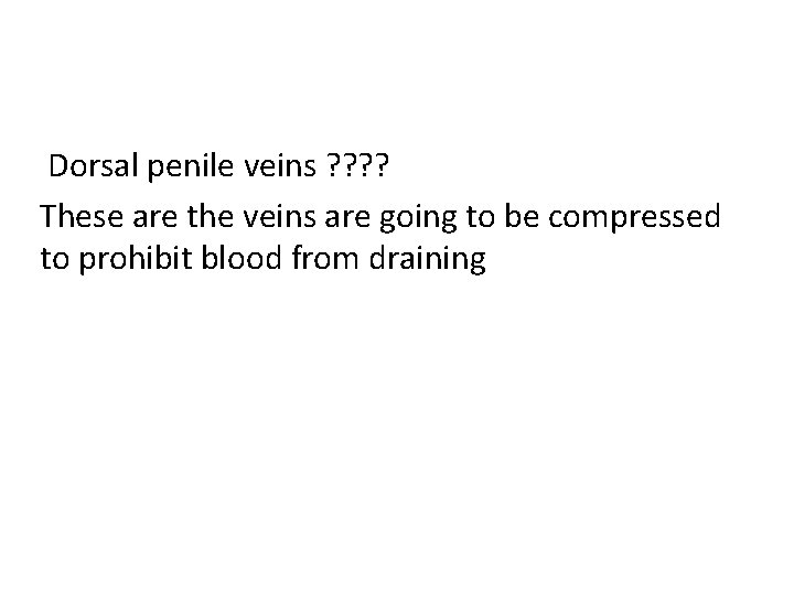 Dorsal penile veins ? ? These are the veins are going to be compressed Dorsal penile veins ? ? These are the veins are going to be compressed