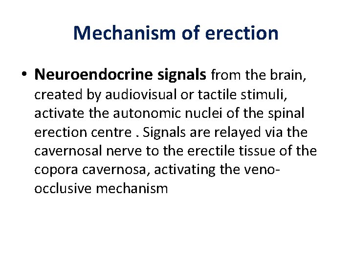 Mechanism of erection • Neuroendocrine signals from the brain, created by audiovisual or tactile Mechanism of erection • Neuroendocrine signals from the brain, created by audiovisual or tactile