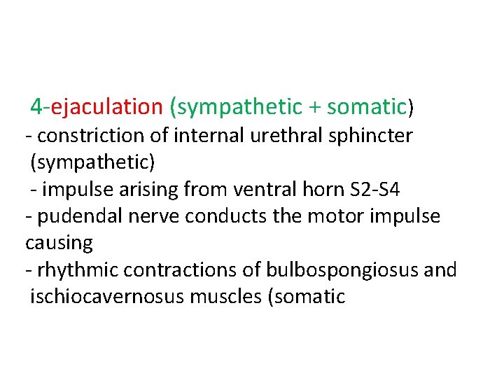 4 -ejaculation (sympathetic + somatic) - constriction of internal urethral sphincter (sympathetic) - impulse 4 -ejaculation (sympathetic + somatic) - constriction of internal urethral sphincter (sympathetic) - impulse