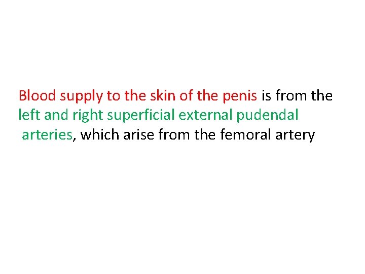 Blood supply to the skin of the penis is from the left and right Blood supply to the skin of the penis is from the left and right