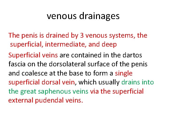 venous drainages The penis is drained by 3 venous systems, the superficial, intermediate, and venous drainages The penis is drained by 3 venous systems, the superficial, intermediate, and