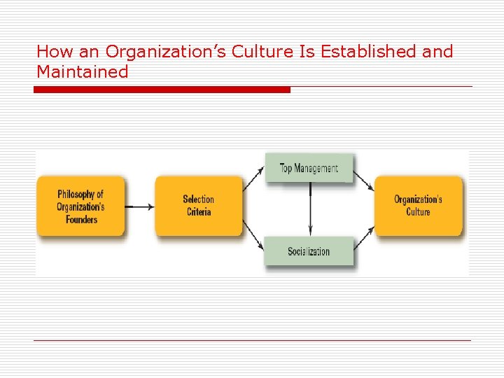 How an Organization’s Culture Is Established and Maintained 
