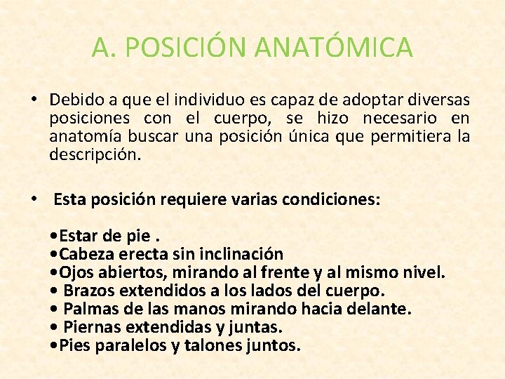 A. POSICIÓN ANATÓMICA • Debido a que el individuo es capaz de adoptar diversas