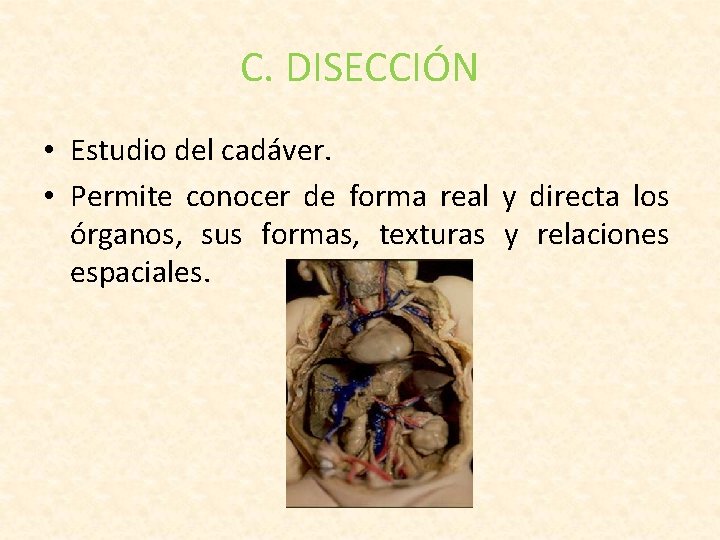 C. DISECCIÓN • Estudio del cadáver. • Permite conocer de forma real y directa