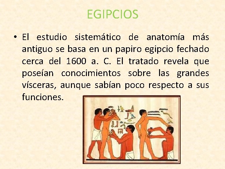 EGIPCIOS • El estudio sistemático de anatomía más antiguo se basa en un papiro
