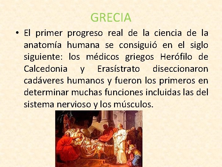 GRECIA • El primer progreso real de la ciencia de la anatomía humana se