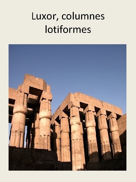 Luxor, columnes lotiformes 