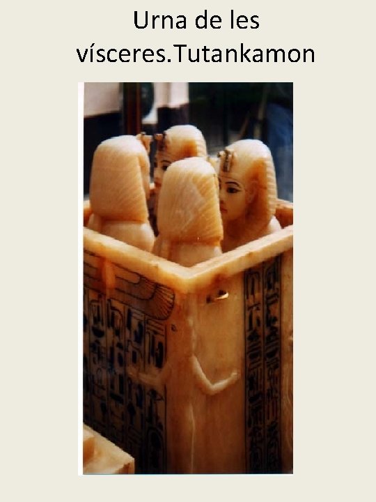 Urna de les vísceres. Tutankamon 