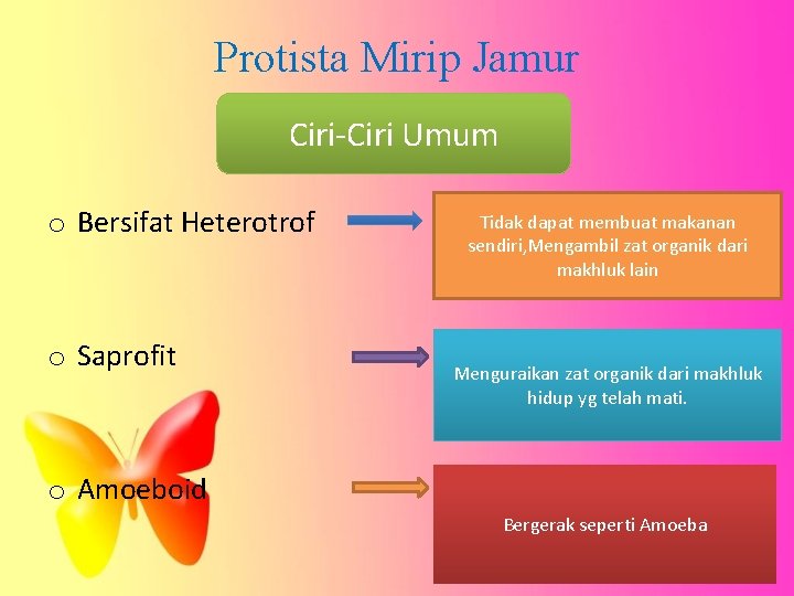 Protista Mirip Jamur Ciri-Ciri Umum o Bersifat Heterotrof o Saprofit Tidak dapat membuat makanan