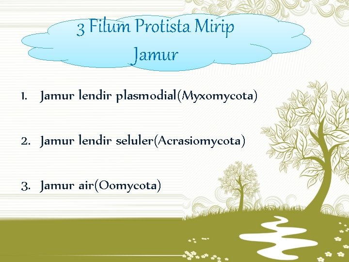 3 Filum Protista Mirip Jamur 1. Jamur lendir plasmodial(Myxomycota) 2. Jamur lendir seluler(Acrasiomycota) 3.