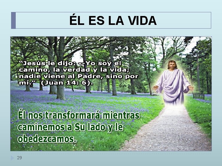 ÉL ES LA VIDA 29 ÉL ES LA VIDA 29