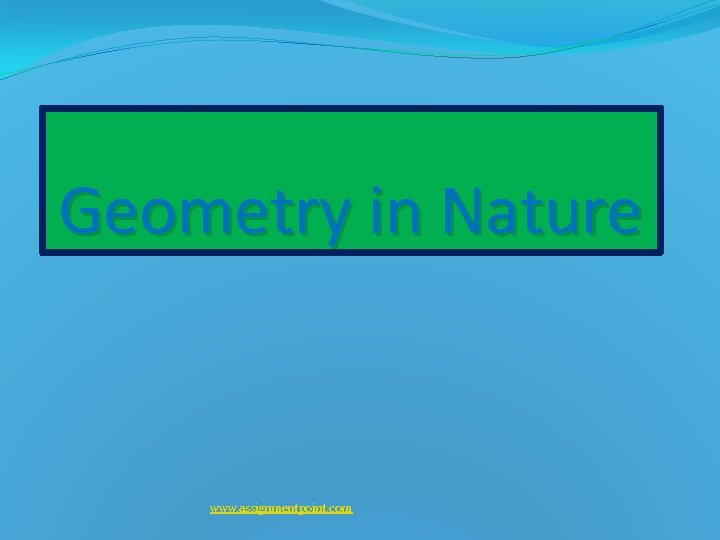 Geometry in Nature www assignmentpoint com Geometry is