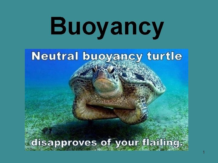 Buoyancy 1 