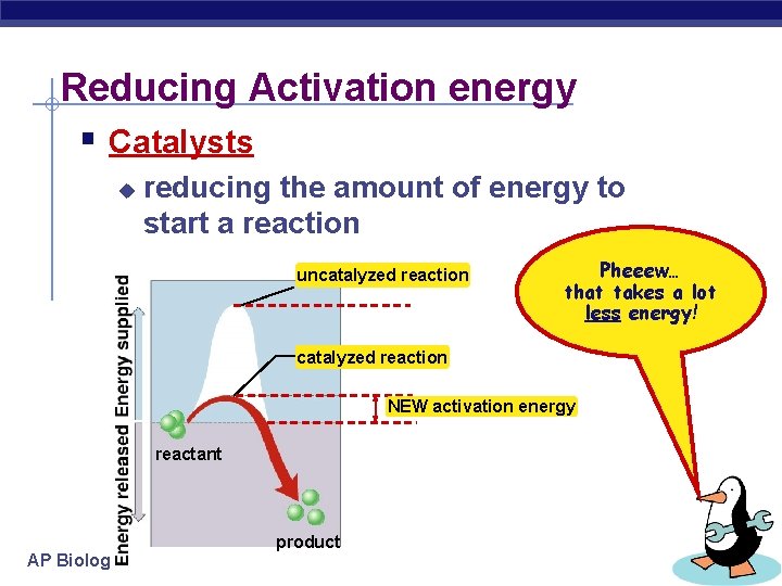 Metabolism Enzymes AP Biology 2007 2008 Activation energy