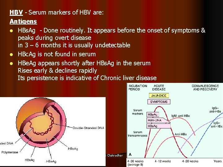 HBV - Serum markers of HBV are: Antigens l HBs. Ag - Done routinely.