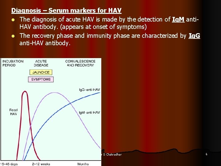 Diagnosis – Serum markers for HAV l The diagnosis of acute HAV is made