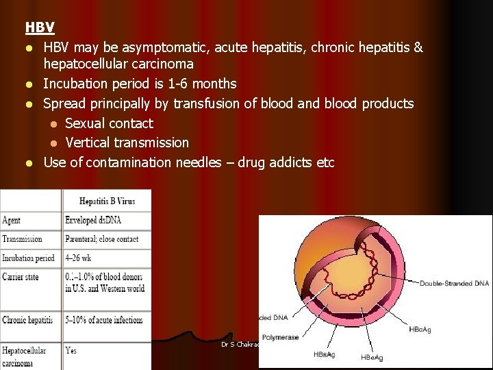 HBV l HBV may be asymptomatic, acute hepatitis, chronic hepatitis & hepatocellular carcinoma l