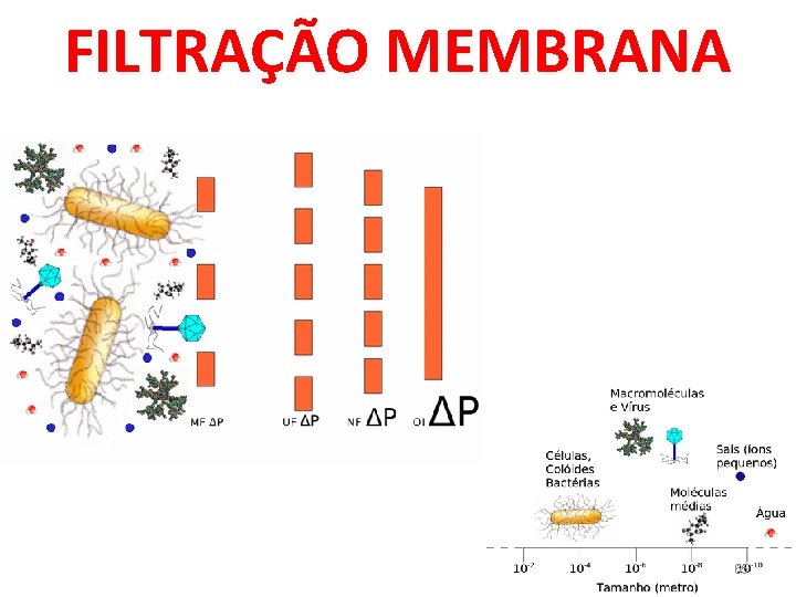 FILTRAÇÃO MEMBRANA 65 