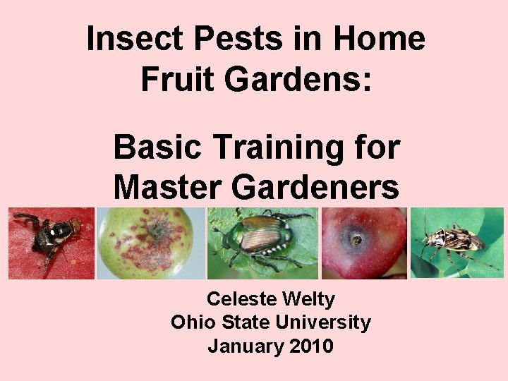 Insect Pests in Home Fruit Gardens: Basic Training for Master Gardeners Celeste Welty Ohio