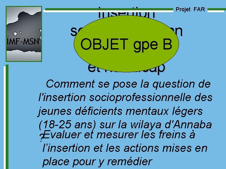 Insertion socioprofessionn OBJET gpe B elle et handicap Projet FAR IMF-MSN Comment se pose