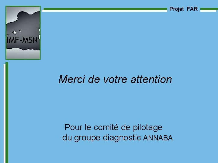 Projet FAR IMF-MSN Merci de votre attention Pour le comité de pilotage du groupe