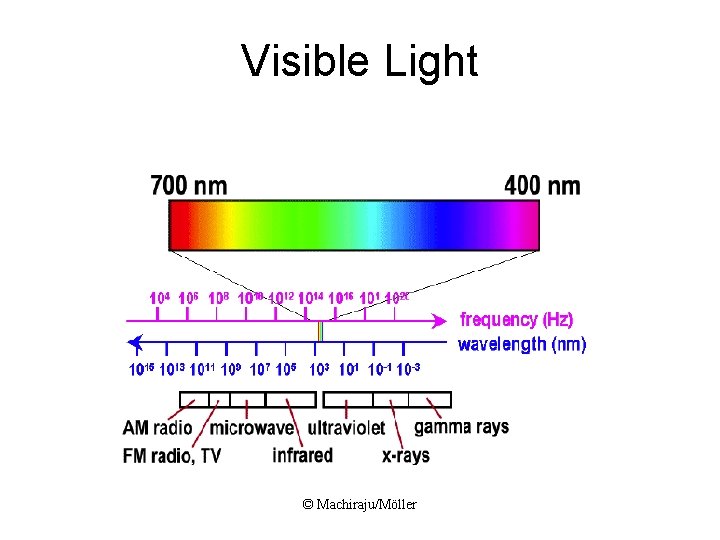 Visible Light © Machiraju/Möller 