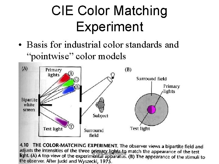 CIE Color Matching Experiment • Basis for industrial color standards and “pointwise” color models