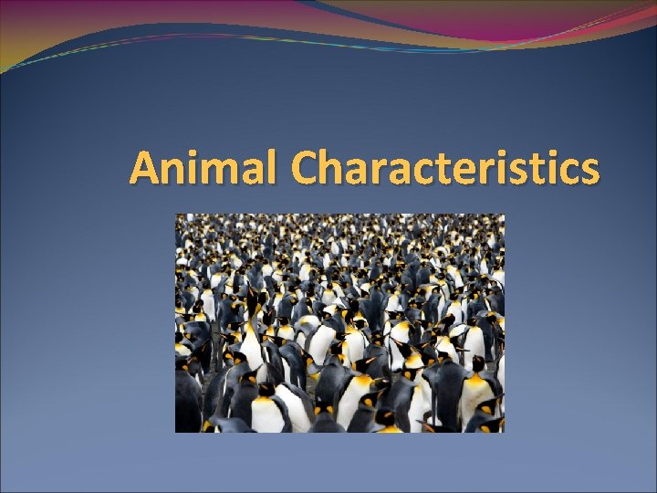 Animal Characteristics Animal Characteristics