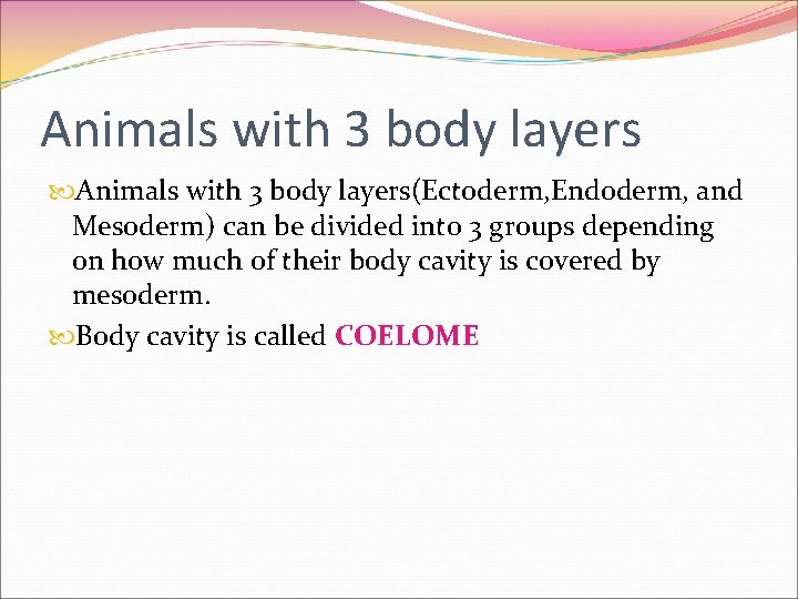 Animals with 3 body layers(Ectoderm, Endoderm, and Mesoderm) can be divided into 3 groups Animals with 3 body layers(Ectoderm, Endoderm, and Mesoderm) can be divided into 3 groups