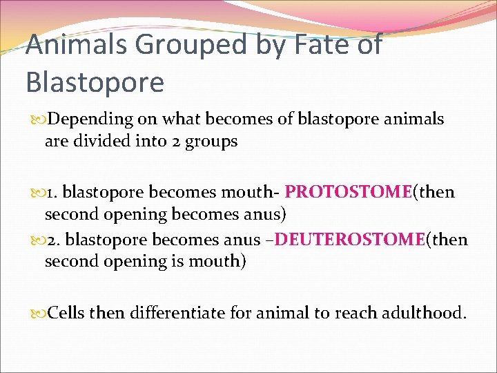 Animals Grouped by Fate of Blastopore Depending on what becomes of blastopore animals are Animals Grouped by Fate of Blastopore Depending on what becomes of blastopore animals are