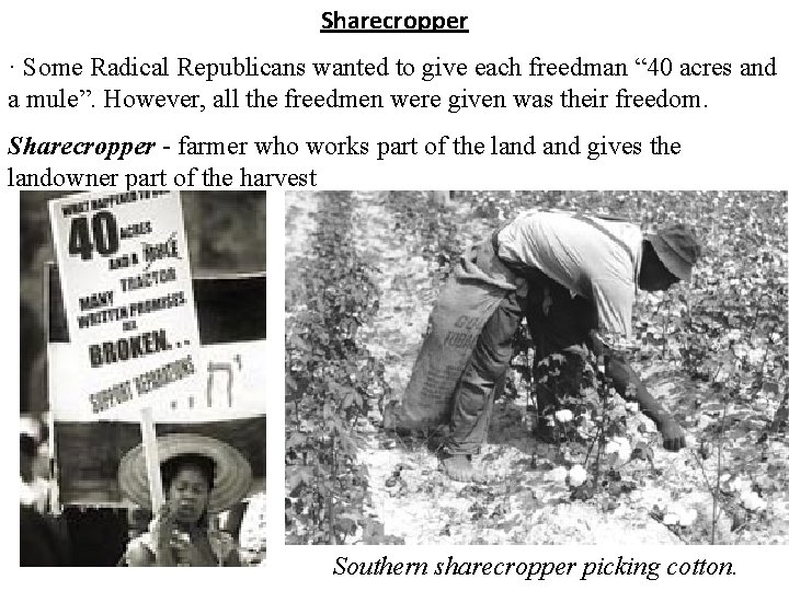 Sharecropper · Some Radical Republicans wanted to give each freedman “ 40 acres and Sharecropper · Some Radical Republicans wanted to give each freedman “ 40 acres and