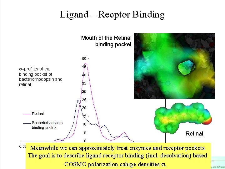 Ligand – Recptor Binding Mouth of the Retinal binding pocket -profiles of the binding