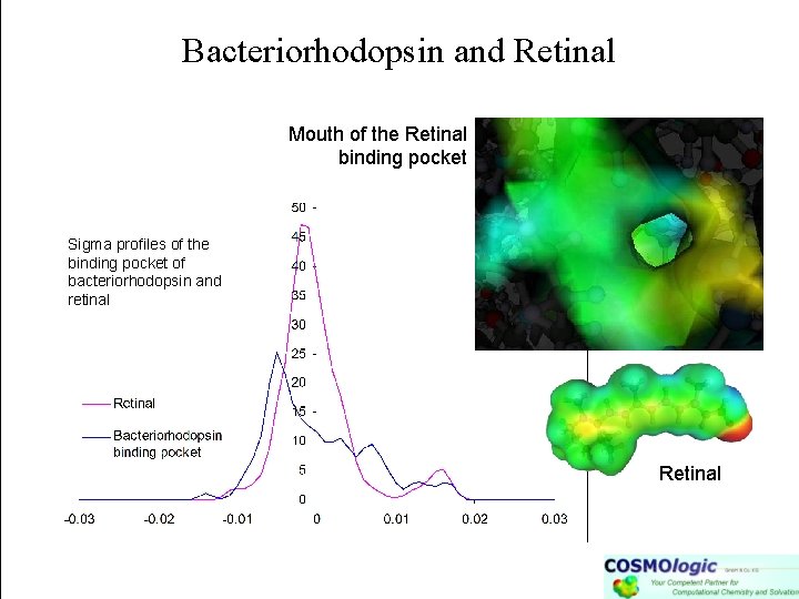 Bacteriorhodopsin and Retinal Mouth of the Retinal binding pocket Sigma profiles of the binding