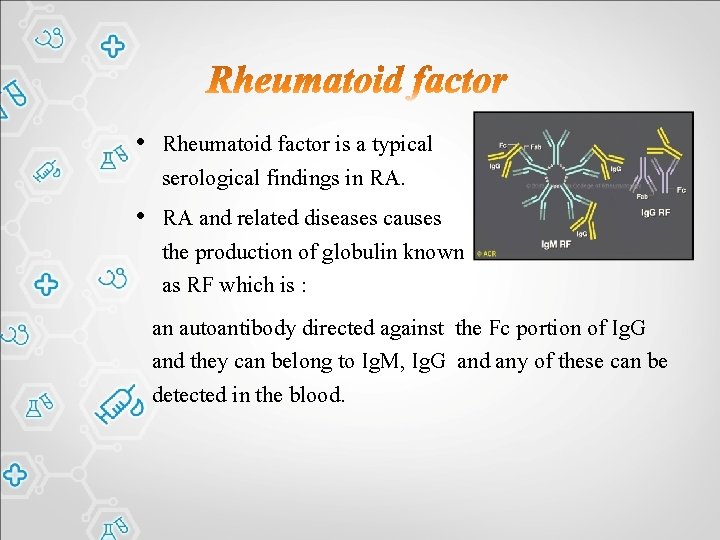  • Rheumatoid factor is a typical serological findings in RA. • RA and