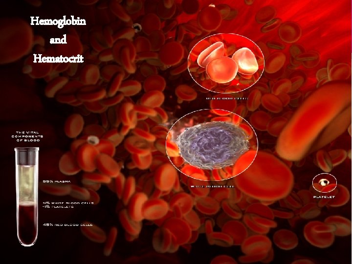 Erythropoiesis and the Pathophysiology of Anaemia in CKD