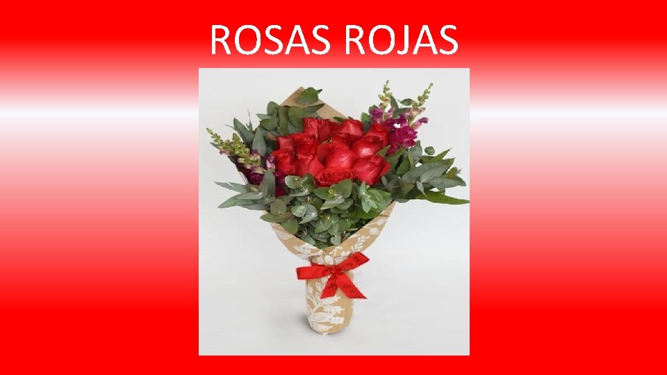 ROSAS ROJAS 