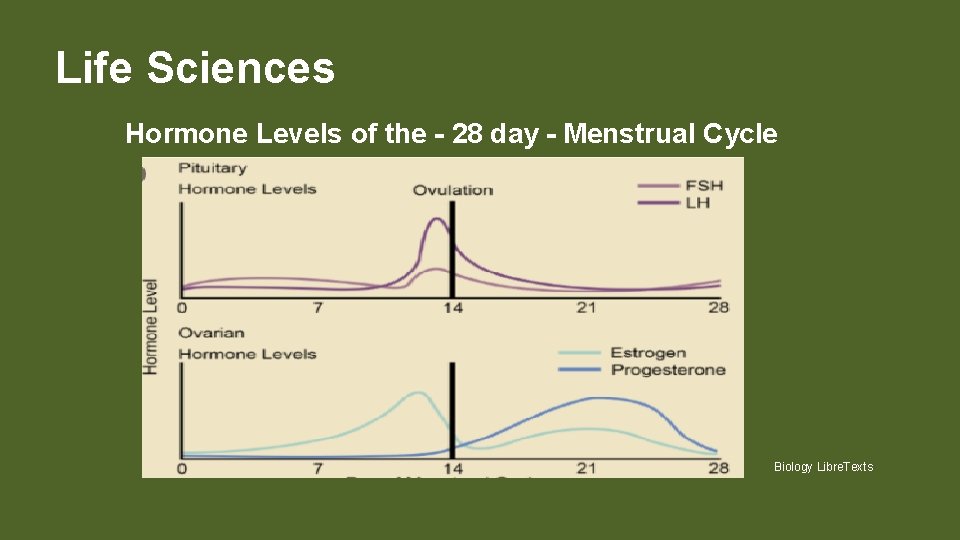 Life Sciences Hormone Levels of the - 28 day - Menstrual Cycle Biology Libre.