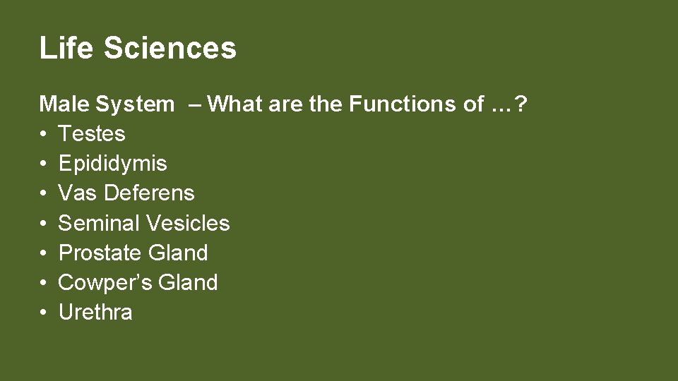 Life Sciences Male System – What are the Functions of …? • Testes •