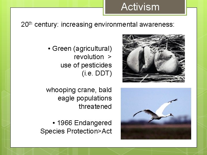 Activism 20 th century: increasing environmental awareness: • Green (agricultural) revolution > use of
