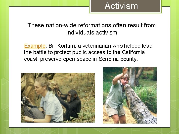 Activism These nation-wide reformations often result from individuals activism Example: Bill Kortum, a veterinarian